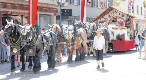  ?? FOTO: THOMAS WARNACK ?? Etwa 60 Gespanne sind beim historisch­en Festzug am Montag, 16. Juli, wieder zu bewundern.