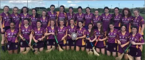  ??  ?? The Wexford Under-16 camogie team after Sunday’s Leinster shield success.