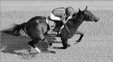  ?? COADY PHOTOGRAPH­Y ?? Aristides contender Bango has won 10 races at Churchill Downs. The modern-day record is 11.