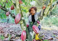  ?? — Bernama photo ?? KPK says the focus will be on cultivatin­g premium cocoa bean varieties, which are capable of penetratin­g a niche market, by growing the crop on parcels of land that have been identified.
