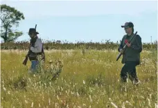  ??  ?? Los campos muestran gran cantidad de ejemplares. El clima y los costos jugaron en contra para que los cazadores salieran al terreno.