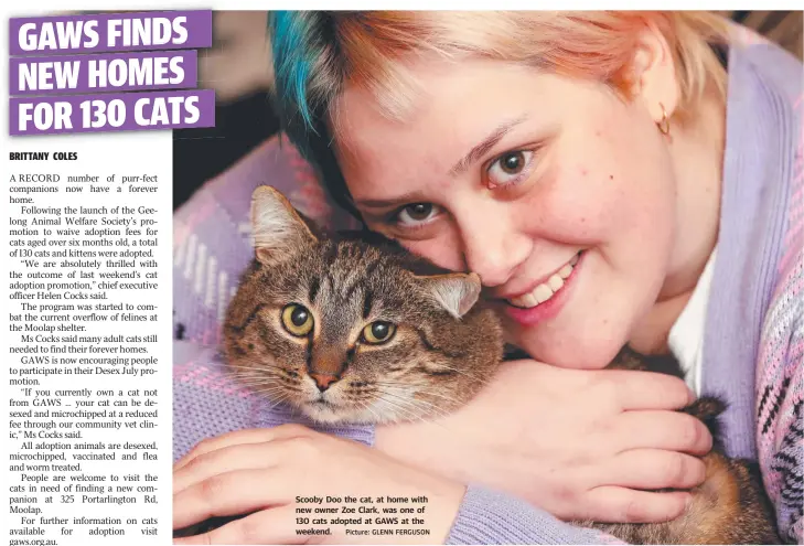  ?? Picture: GLENN FERGUSON ?? Scooby Doo the cat, at home with new owner Zoe Clark, was one of 130 cats adopted at GAWS at the weekend.