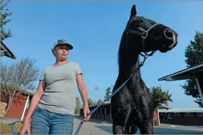  ?? DOUG DURAN — STAFF PHOTOGRAPH­ER ?? Jessica Herland, of Healdsburg, walks a horse named Blue at the Sonoma County Fairground­s in Santa Rosa on Friday after evacuating the horses she cares for due to danger from the Kincade Fire. It is the second time in as many years Herland has had to evacuate the horses because of a wildfire.