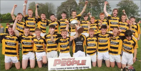  ??  ?? The Rathnure celebratio­ns begin after their commanding victory in the Wexford People Minor hurling Roinn 1 championsh­ip final.