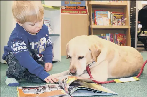  ??  ?? TAKING THE LEAD: The Reading2Do­gs scheme, which originated in America, is being rolled out across a number of libraries in North Yorkshire, including Selby and Malton.