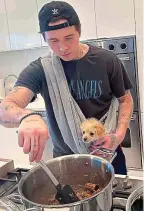  ?? ?? Hot dog: Brooklyn and puppy pal, cook up a corker of a dish