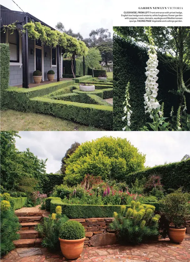  ??  ?? CLOCKWISE, FROM LEFT Front entrance with privet hedge, English box hedge and wisteria; white foxgloves; flower garden with poppies, roses, clematis, aquilegia and Mediterran­ean spurge. FACING PAGE Vegetable and cuttings garden.