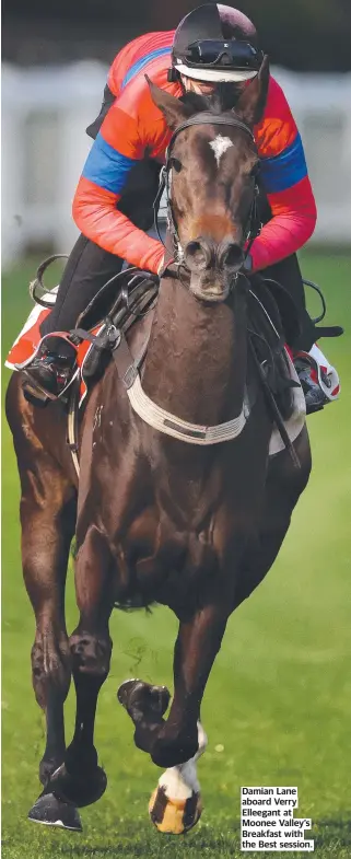  ?? ?? Damian Lane aboard Verry Elleegant at Moonee Valley’s Breakfast with the Best session.