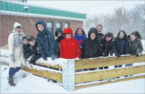  ?? KIRK STARRATT ?? Erica Easton, of Kentville, her son Drew and a group of other Grade 7 students at Evangeline Middle School pose with the newly-constructe­d gaga ball pit. Easton was instrument­al in bringing the project to fruition.