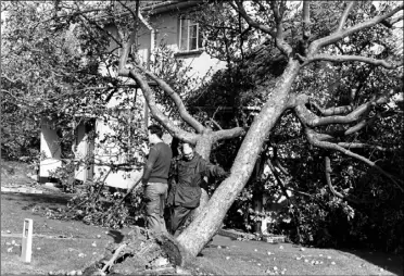  ?? Picture: Steve Salter ?? Residents survey the damage in Orchard Drive, Ashford