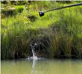  ??  ?? ...but reach for the big pot and introduce a large bed of micro pellets close to the far bank