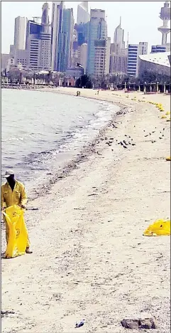  ?? Photo by Rizk Tawfik ?? A worker collecting dead fish washed ashore the coast of Kuwait.
