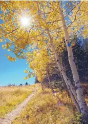  ?? JOURNAL FILE ?? The turning aspens along the Sandia Crest Road.