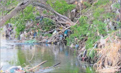  ?? Photo: Perfect Directions ?? Banks along the Jukskei decorated with ‘Joburg confetti’.