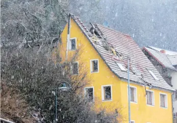  ?? FOTO: SUSANNE GRIMM ?? Eine 30 Meter hohe Tanne ist in der Nacht in Stetten am kalten Markt auf ein Haus gestürzt