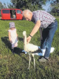  ?? FOTOS: PRIVAT ?? Den Transport hat der Bruchpilot, eingehüllt in eine Decke (linkes Foto), offensicht­lich gut überstande­n (Bild rechts).