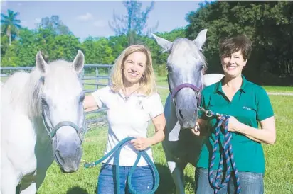  ?? JUNETTE REYES/STAFF ?? Dr. Shelley Green, left, and Valerie Judd, executive director of Stable Place, stand with two equine therapy horses.