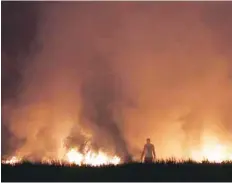  ?? — Reuters ?? A farmer burns the stubble in a rice field in Karnal, Haryana.