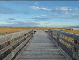  ?? ?? Wooden boardwalks offer prime water views of Arrowhead Marsh at the Martin Luther King Jr. Regional Shoreline. Hikers also will find plenty of migrating birds and even art installati­ons, such as “Duplex Cone,” above right, on this stretch of the San Francisco Bay Trail.