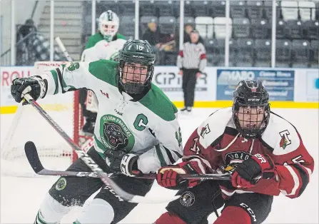  ?? JULIE JOCSAK THE ST. CATHARINES STANDARD ?? Pelham Panthers captain Thomas Young, left, and Noah Caperchion­e each have 12 goals heading into the final half of the Greater Ontario Junior Hockey League regular season.