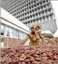  ?? AFP AFP SIA KAMBOU/ ?? A man dressed as a woman in a traditiona­l garment selects cocoa beans on the closing day of the national cocoa and chocolate days on Sunday in Abidjan.