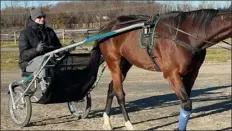  ?? PHOTO COURTESY OF TIM TETRICK ?? Two-time MVP Nikola Jokic trains a horse at Meadowland­s Racetrack in East Rutherford, N.J., in 2021.