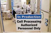  ?? [AP FILE PHOTO] ?? This photo taken March 29, 2017, shows the cell processing facility at the Fred Hutchinson Cancer Research Center where workers create customized cellular immunother­apies for patients, geneticall­y engineerin­g their own immune system’s T cells into...