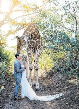  ?? Picture: STEPHANIE NORMAN PHOTOGRAPH­Y ?? STAND TALL: This picture of Abby looming over bridal couple Tristan and Luke Karshagen is hot property