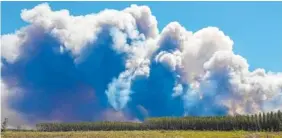  ?? BEN PALM/OKEFENOKEE NATIONAL WILDLIFE REFUGE VIA AP ?? Smoke rises from a wildfire east of Fargo, Ga., in the Okefenokee National Wildlife Refuge. Firefighte­rs were battling Sunday to prevent the fire from spreading, authoritie­s said.