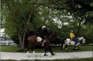  ?? WILL NEWTON - THE ASSOCIATED PRESS ?? Preakness contender War of Will, with exercise rider Kim Carroll aboard, is led out of the barn to exercise, Tuesday, May 14, 2019, at Pimlico Race Course in Baltimore. The Preakness Stakes horse race is scheduled to take place Saturday, May 18.