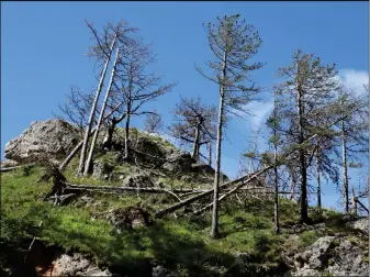  ??  ?? Strašni prizori uništenih munika uslijed klimatskih promjena