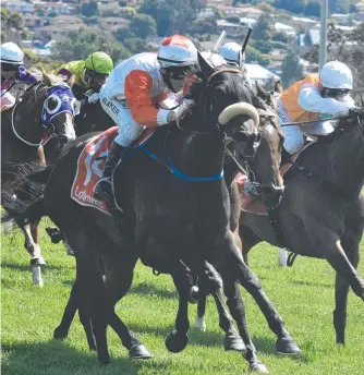  ?? ?? Miss Tuppence wins the Lady Lynette at Elwick on Sunday. Picture Peter Staples