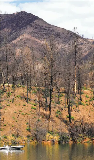  ?? Michael Macor / Special to The Chronicle
Below: Flowers bloom near Whiskeytow­n Lake. ?? Left: A boat glides past the scarred landscape surroundin­g Whiskeytow­n Lake after last year’s Carr Fire decimated the area.