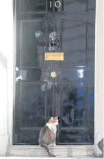  ?? ?? Prime ministers come and go, but Larry the Downing St cat remains in place.