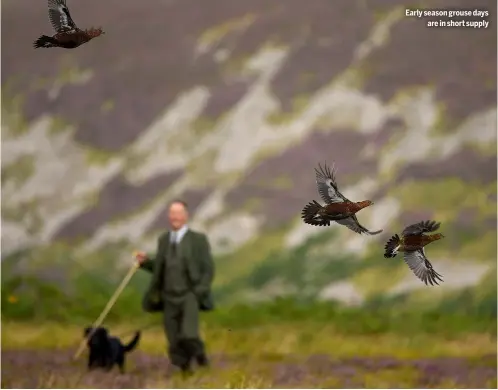  ?? ?? Early season grouse days
are in short supply