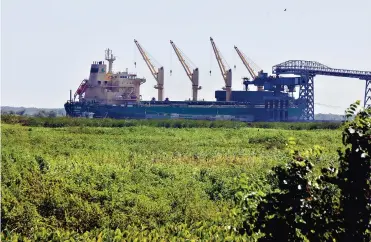  ?? LUIS RODRÍGUEZ ?? El río no se puede visualizar en esta parte del malecón, debido al crecimient­o de plantas acuáticas.