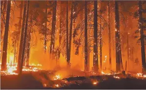  ??  ?? INCONTROLA­BLE. Las llamas han consumido más de 61 mil hectáreas en el estado.