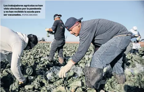  ?? /FOTOS ARCHIVO ?? Los trabajador­es agrícolas se han visto afectados por la pandemia y no han recibido la ayuda para ser vacunados.