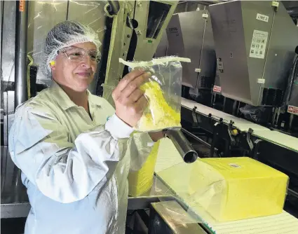  ?? PHOTO: STEPHEN JAQUIERY ?? Say cheese . . . Fonterra Stirling site jackofallt­rades Jonni de Malmanche takes a sample from a 20kg block of cheese.