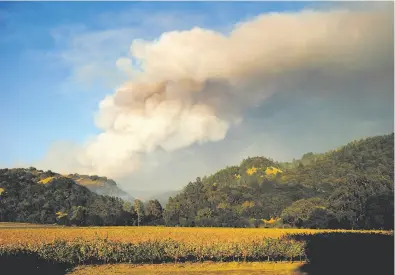  ?? Santiago Mejia / The Chronicle ?? A plume of smoke billows above vineyards east of Geyservill­e. The smoke is expected to spread throughout the Bay Area and as far south as Monterey, but winds are expected to pick up and may shift late Saturday, blowing it in a different direction, forecaster­s say.