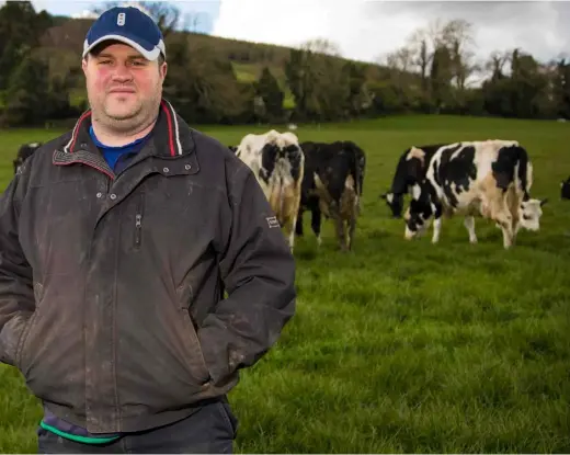  ?? PHOTOS: OWEN BRESLIN ?? Target: Neil Short is aiming to increase his cows’ milk solids average rather than expanding the herd; (below) cows grazing on the farm in Ballycoog, east Wicklow