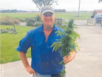  ?? Photo / Hopefield Hemp Facebook page ?? Blair "Blocka" Drysdale with one of his hemp plants.