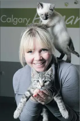  ?? Leah Hennel/calgary Herald ?? Christy Thompson holds a couple of kittens at the Calgary Humane Society, which is near capacity with a large number of cats up for adoption.