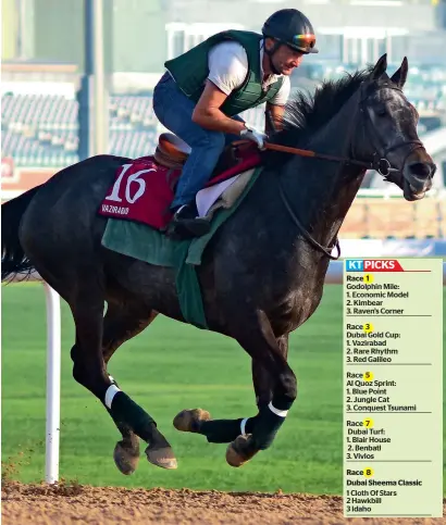  ??  ?? All eyes will be on Vazirabad in the $1m Dubai Gold Cup. Vazirabad was seen during the morning practice on Friday. —