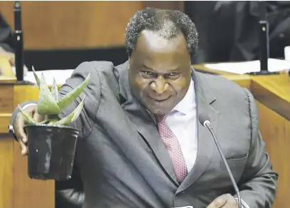  ?? Picture: EPA-EFE ?? ALOE AGAIN. Finance Minister Tito Mboweni lifts a succulent aloe vera plant during his budget speech yesterday. Mboweni said the plant represents hope and resilience – a metaphor for the SA economy, which faces an arduous march through winter: