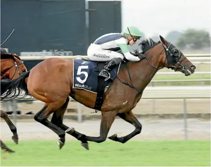  ?? TRISH DUNELL. ?? Trainer Tony Pike has concerns about the prospect of a heavy track for Chenille in the Auckland Cup.