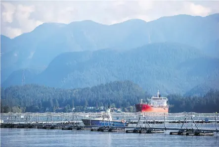  ?? DARRYL DYCK/BLOOMBERG ?? Kinder Morgan’s Westridge Marine Terminal in Burnaby, B.C., is part of the Trans Mountain pipeline expansion. The feds announced Friday a 22-week review of the pipeline’s impact on marine life as its first corrective action prescribed by the Federal Court of Appeal.