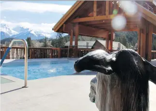  ?? CHRISTALEE FROESE ?? The stunning view of the mountains from a hot tub at The Moose Hotel & Suites in Banff.