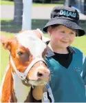  ?? ?? Laura Burnell, 6, from Ohau ¯ School, pictured with her calf Buttercup.