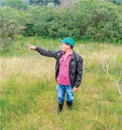  ?? FOTO JUAN ANTONIO SÁNCHEZ ?? El campesino José Hernán Hincapié señala la zona boscosa que rodea su predio en la vereda El Palmar de Girardota. Allí vigila que los árboles no sean talados.